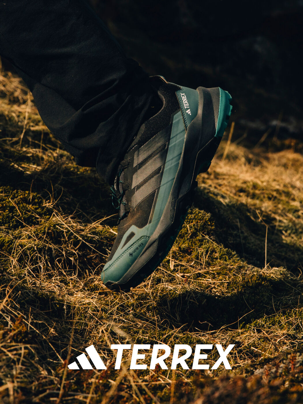 Terrex